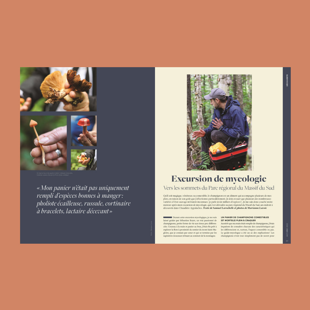 Fruit picking and hiking