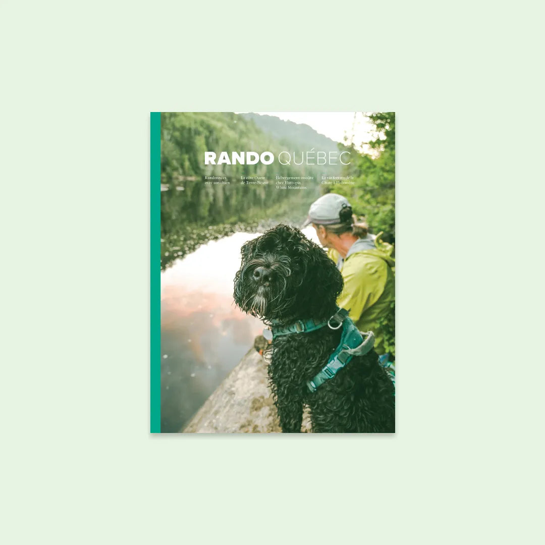 Hiking with your dog