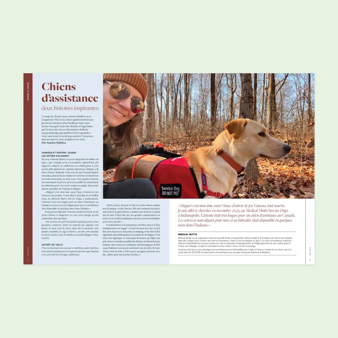 Hiking with your dog
