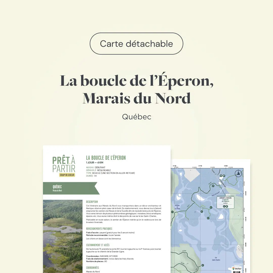 Marais et tourbières